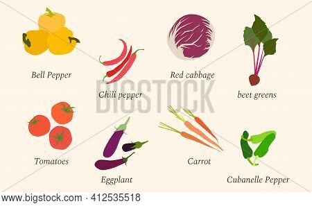 Set Of Fresh Vegetables Made In Flat Design. Tomatoes, Eggplant, Chili Pepper, Red Cabbage, Carrot, 