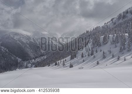 Winter in Godeanu Mountains, Carpathians, Romania, Europe