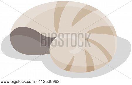 Shell Isolated On White Background. Chitin Structure Protecting Snail Vector Illustration