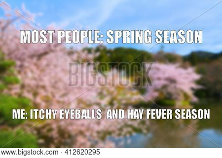 Allergies Season Funny Meme For Social Media Sharing. Spring Time Pollen Allergy Hayfever Problems.