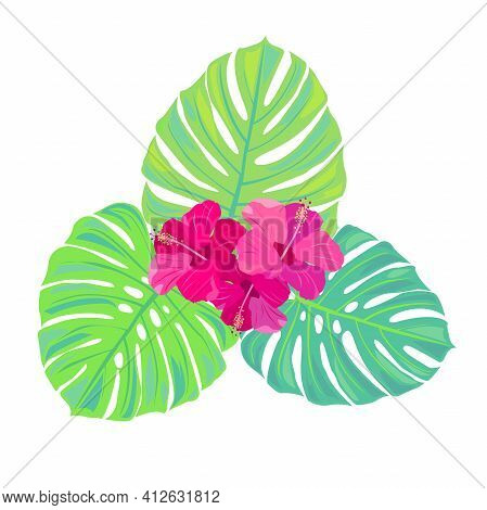 Pink Tropical Flowers And Leaves Monstera. Exotic Paradise Flowers. Bright Stock Vector Illustration