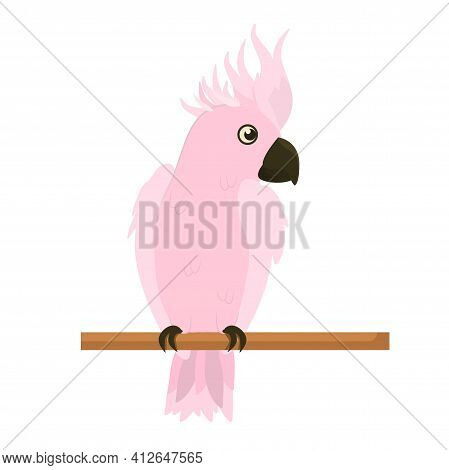 Vector Illustration Of A Pink Cockatoo Parrot Sitting On A Branch. Isolated On A White Background