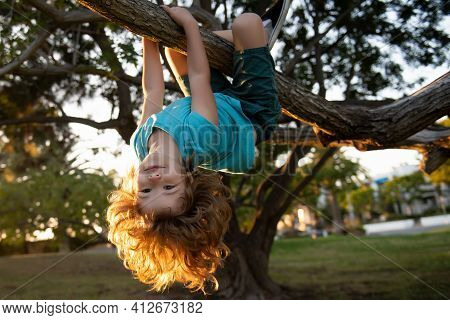 Smiling Child Climbing A Tree In The Garden. Active Kid Playing Outdoors On Sunny Day . Portrait Of 