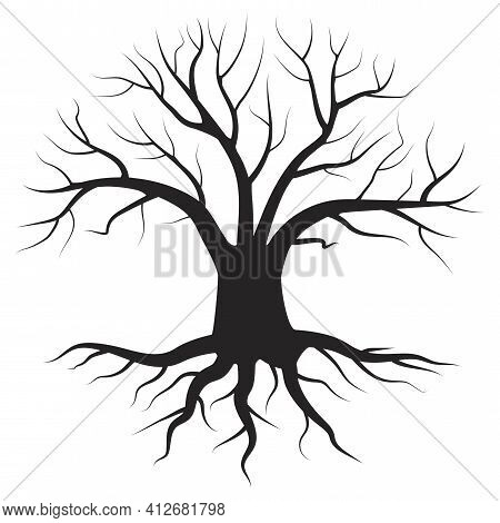 One Black Tree On White Background. Realistic Pattern. Nature Background Vector. Organic Natural Sha
