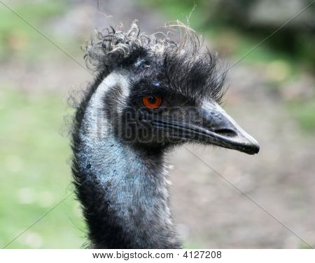EMU