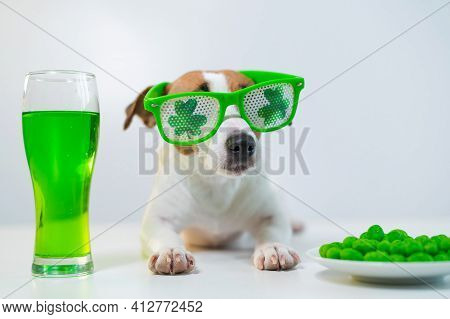 Dog With A Mug Of Green Beer And Glazed Nuts In Funny Glasses On A White Background. Jack Russell Te