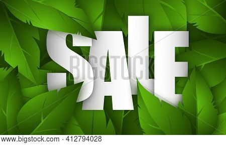 Sale Background With Green Leaves And White Text. Template Design For Posters, Flyers, Brochures, Ba