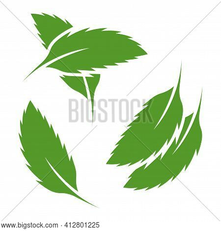 A Set Of Three Multicolored Mint Leaf Icons In Different Locations. Image Of A Single Sheet, Two Par