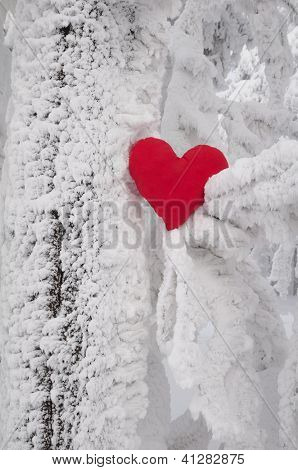 Lonely heart - un símbolo de amor