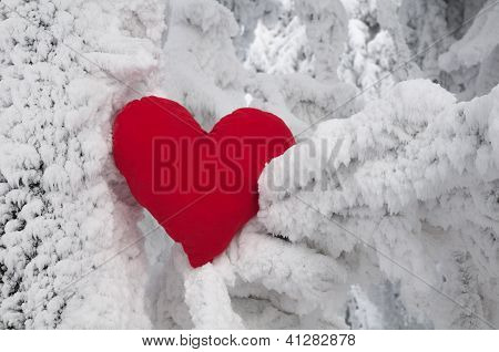Lonely heart - un símbolo de amor