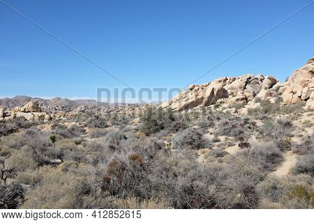 Joshua Tree National Park with a snow capped Mount San Gorgonio in the distance. San Gorgonio is the highest peak in Southern California. 