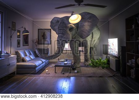 big elephant inside a living room with nobody inside.3d render