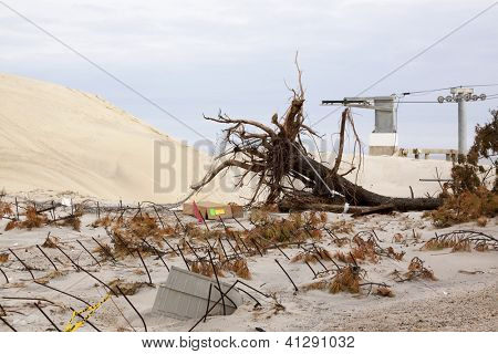 SEASIDE HEIGHTS, NJ - 13 JAN: Un arbre déraciné et des barres d'armature dans le sable sur 13 janvier 2013 en bord de mer 
