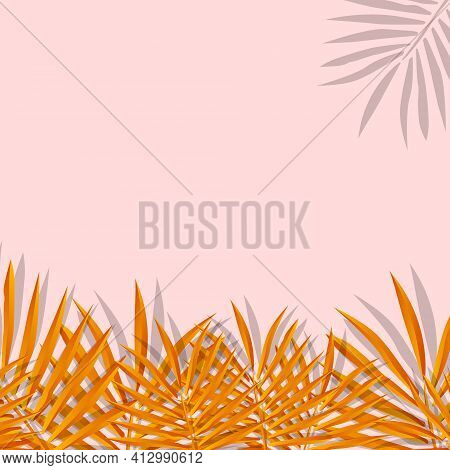 Orange Palm Leaf Vector For Background. Tropical Palm Frond Frame. Summer Tropical Leaves. Summer Gr