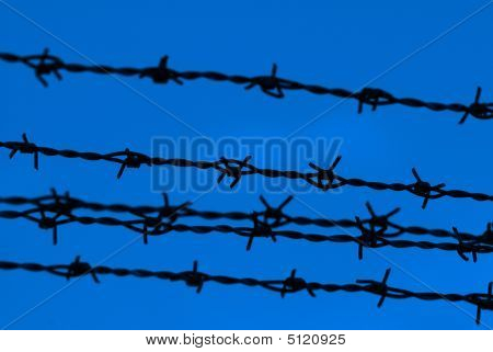 Barbed Wire Edco