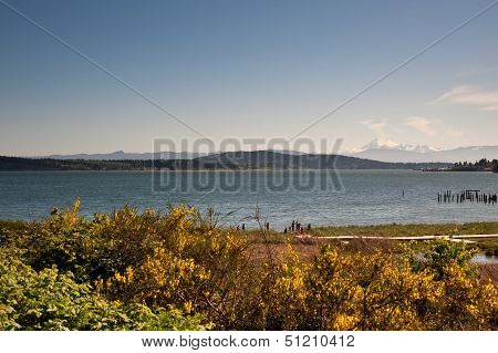 Anacortes