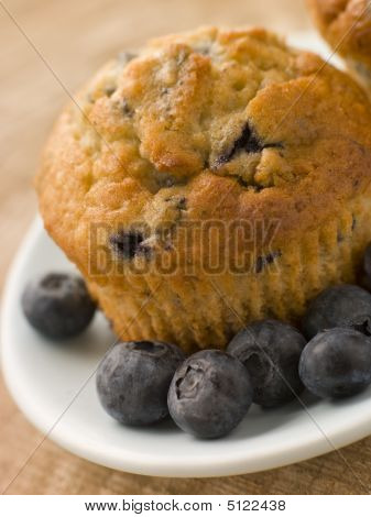 Blueberry Muffin på en tallrik med blåbär