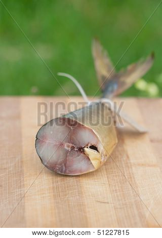 Bloated Fish On The Hardboard