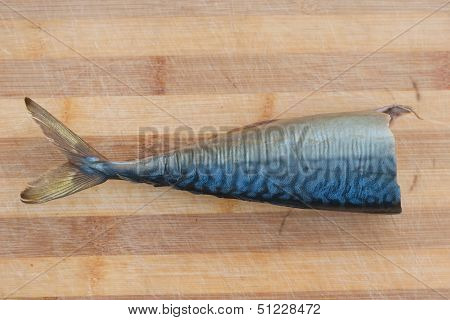 Half Bloated Fish