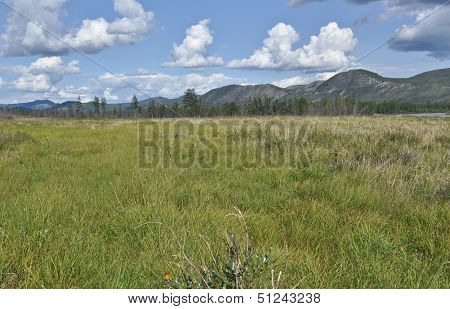 Swampy Plain Under The Blue Sky.