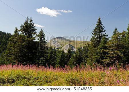 Ilgaz Mountains
