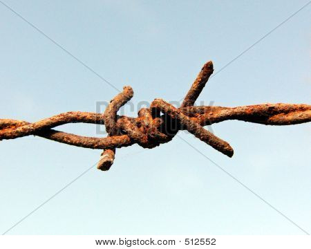 Rusty ostnatým drátem