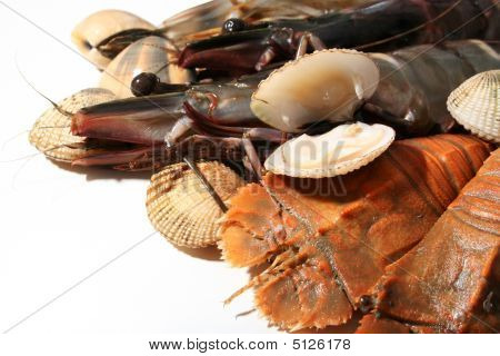 Seafood_closeup