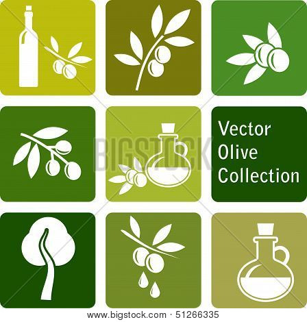 vector collection: olive icons