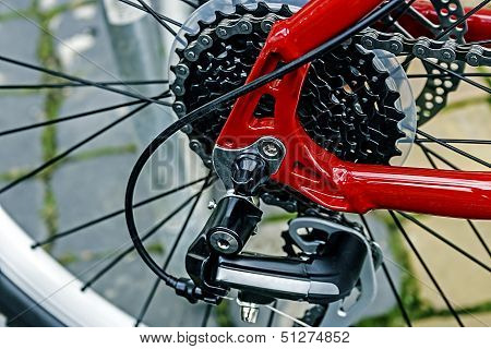 Bicycle Detail