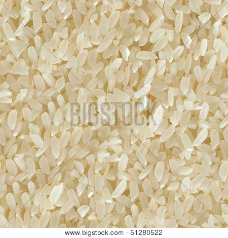 Rice. Seamless Tileable Texture.
