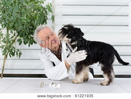 Tooth Examination