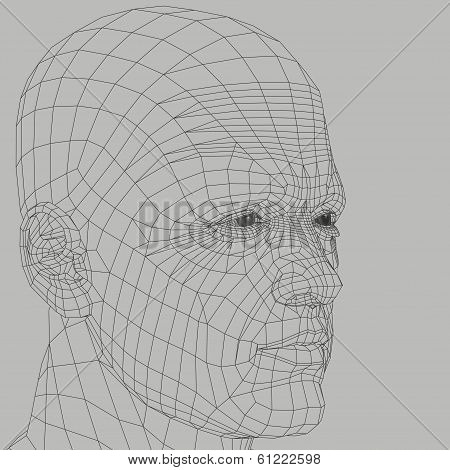 Man Wireframe Illustration