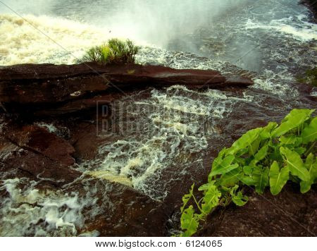 Canaima s Schönheit
