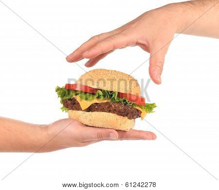 Tasty sandwich in hands.