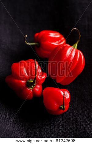 Red Chili Peppers