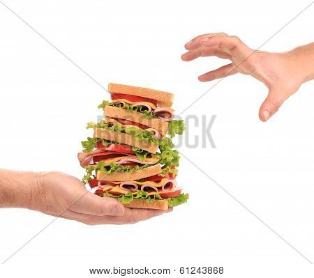 Big fresh sandwich in hands.