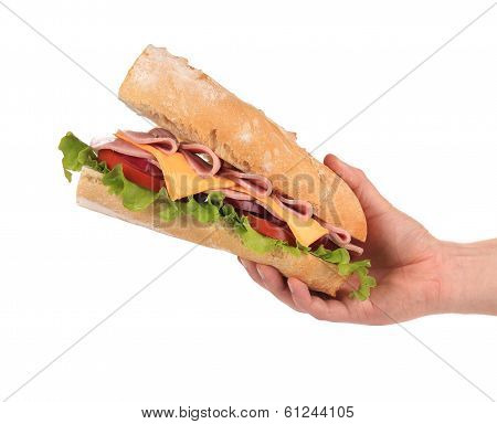 Hand holds french baguette sandwich.