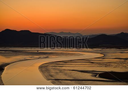 Sunset Of Reeds Field In Suncheon Bay In Korea
