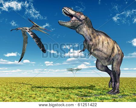 Pteranodon and Tyrannosaurus Rex