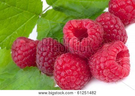 Raspberries in close up