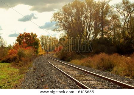 Eisenbahnschienen durch Herbstlaub