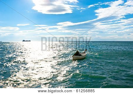 The Blue Sea