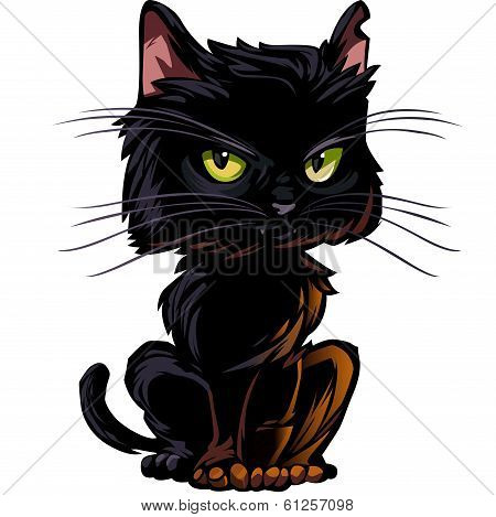 Black Cat Isolated On White