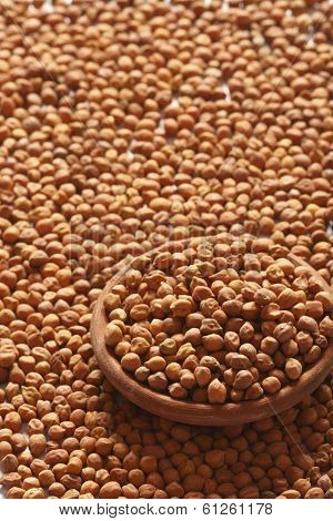 Chana Dal- Chick peas