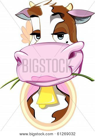 Cow