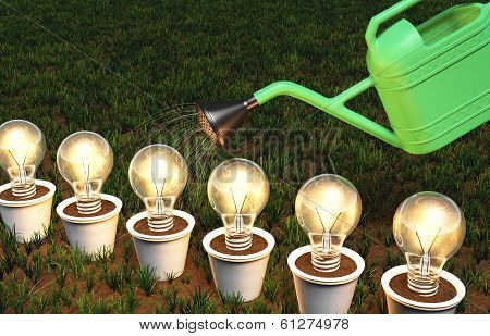 Row Of Light Bulbs In Pots Is Watered