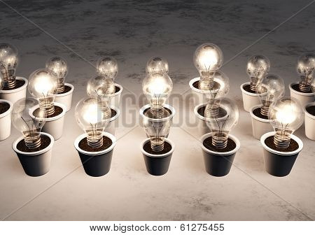 Rows Of Light Bulbs