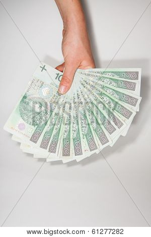 Polish money