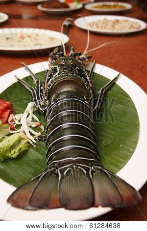Spiny Lobster from Goa, India