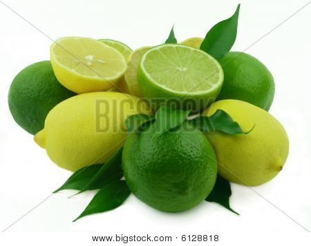 reif Zitronen mit Blättchen